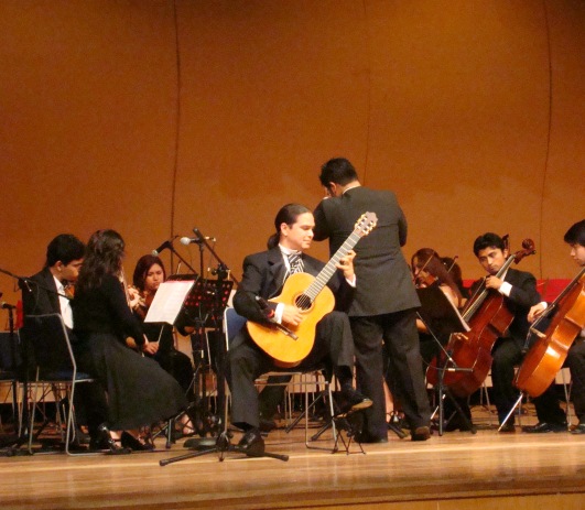 David Fernandez solista con orquesta de camara